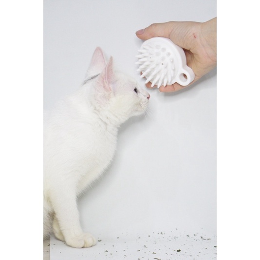 (B001) Lược Mát Xa Cho Thú Cưng Tạo Cảm Giác An Toàn royalpet