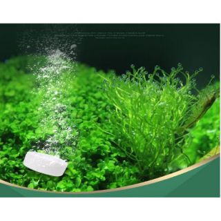 VIÊN SỦI CO2 KHÔ , CO2 HỒ THỦY SINH