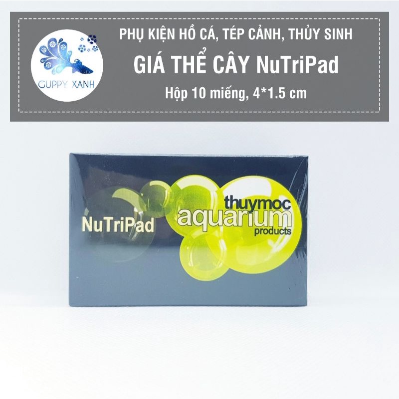Giá thể dinh dưỡng Nutri Pad cho bucep ráy dương xĩ
