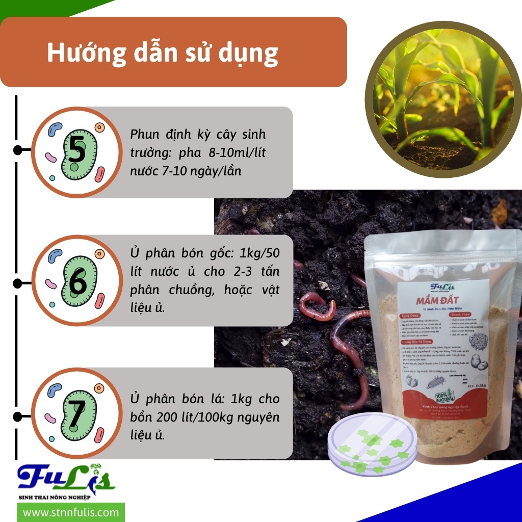 Vi Sinh Bản Địa Hữu Hiệu MẦM ĐẤT Cho Rau, Củ, Quả, Lúa Kháng Nấm, Phân Giải, Giá Rẻ Chính Hãng - stnnfulis