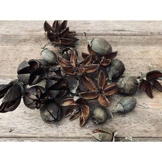 Set hoa khô trang trí dùng làm handmade