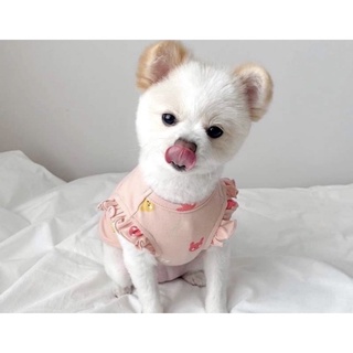 Áo thiết kế cho thú cưng - áo tay bèo nhã nhặn nữ tính siêu điệu dành cho các quý cô chó mèo