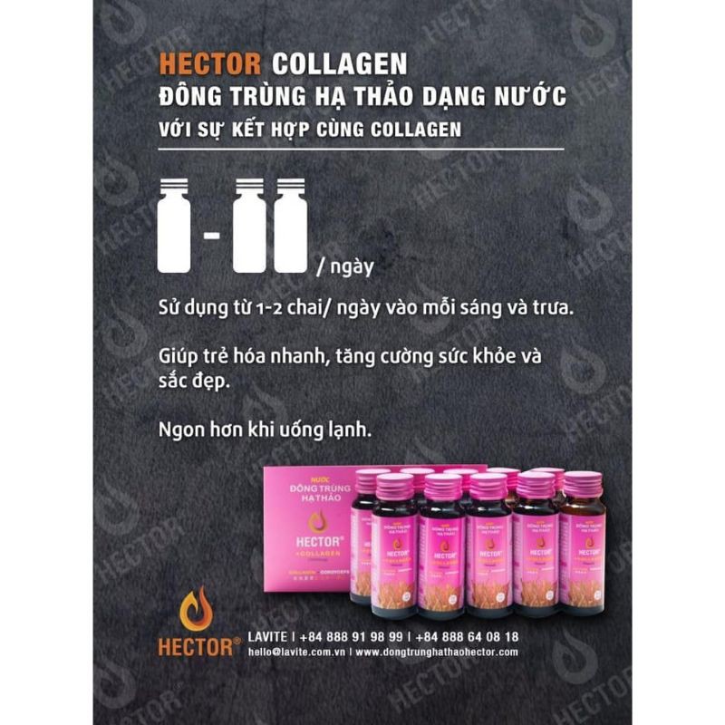 Hector collagen Hồng (Hộp 10chai)