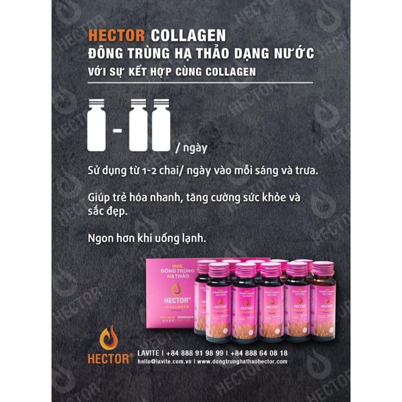 Hector collagen Hồng (Hộp 10chai) | BigBuy360 - bigbuy360.vn