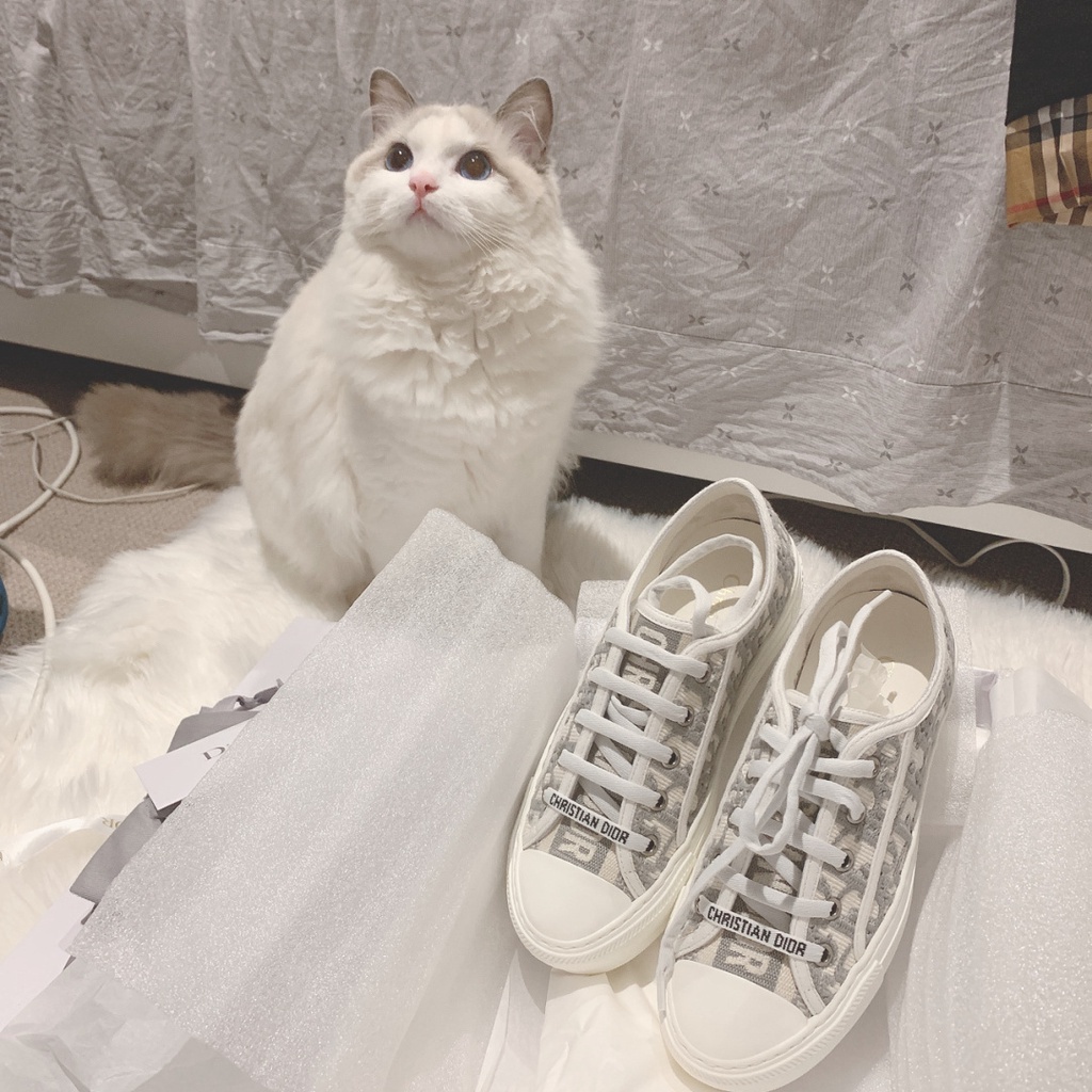 Giày SNEAKER Màu Xám Thiết Kế Mới Năng Động Thời Trang