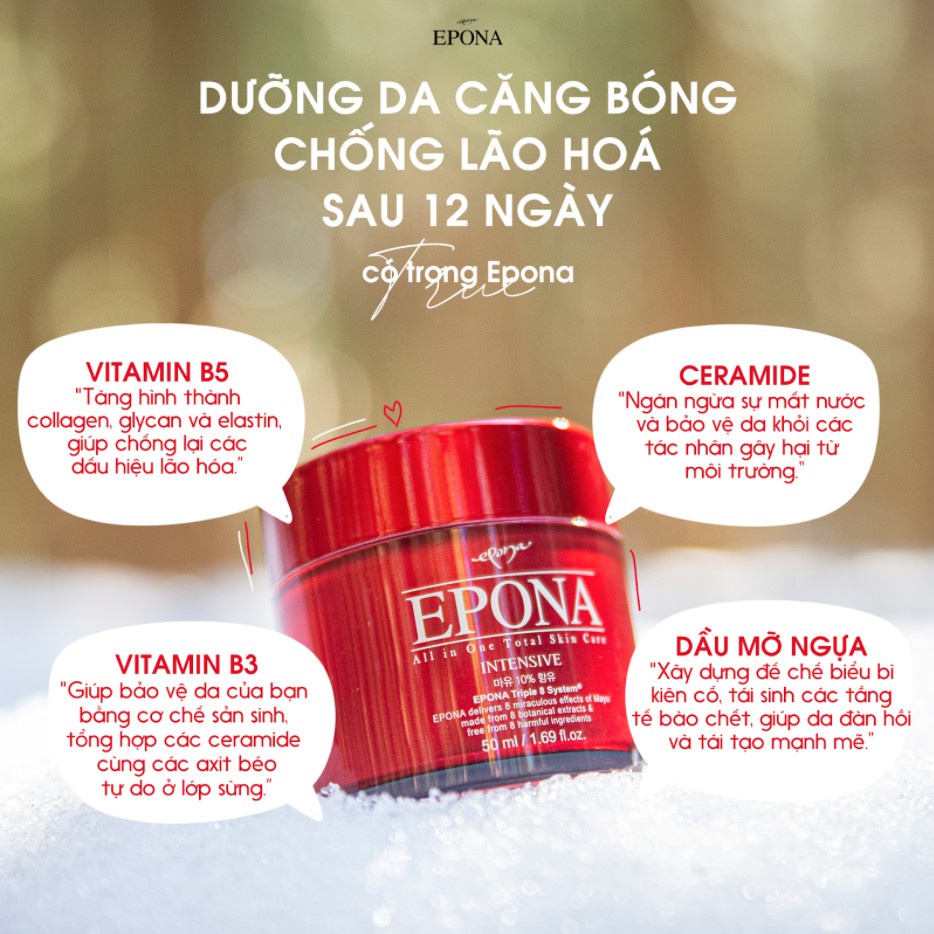 Kem dưỡng da chiết xuất dầu ngựa trắng hồng - căng bóng sau 12 ngày Epona All In One Intensive 50ml Bulsan Beauty