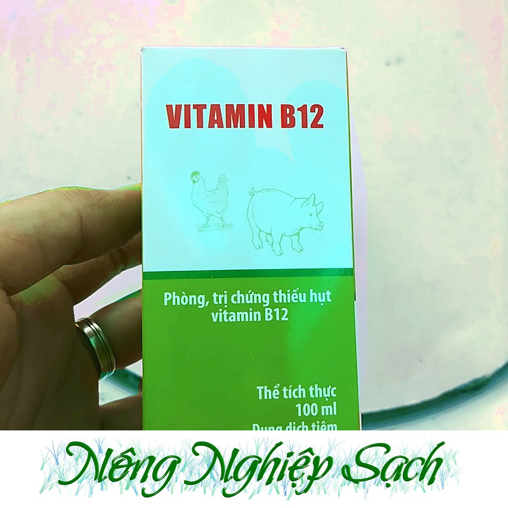 Vitamin B12 - Giải độc phân thuốc cho cây chai 100ml