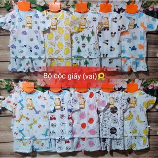 Bộ giấy vai