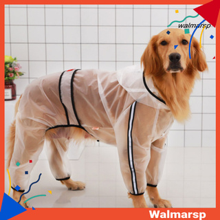 Áo mưa trong suốt thiết kế sáng tạo cho thú cưng