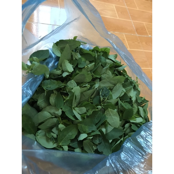 500g Rau Ngót nhà quê đã tuốt sẵn
