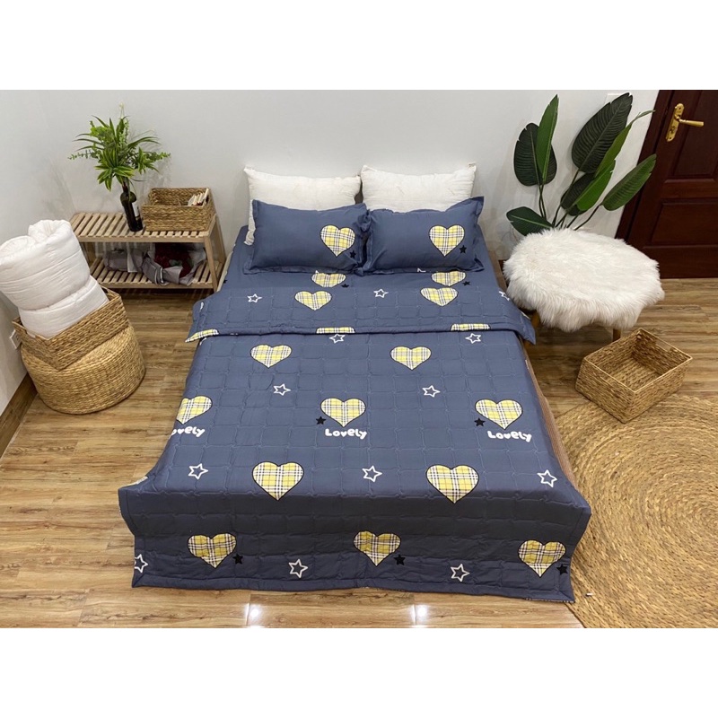 Ga gối poly 3 món hàng đẹp, bộ ga chun kèm 2 vỏ gối được chọn mẫu