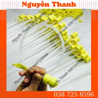 Que thụ tinh heo Nái tơ  Bộ 10 Que