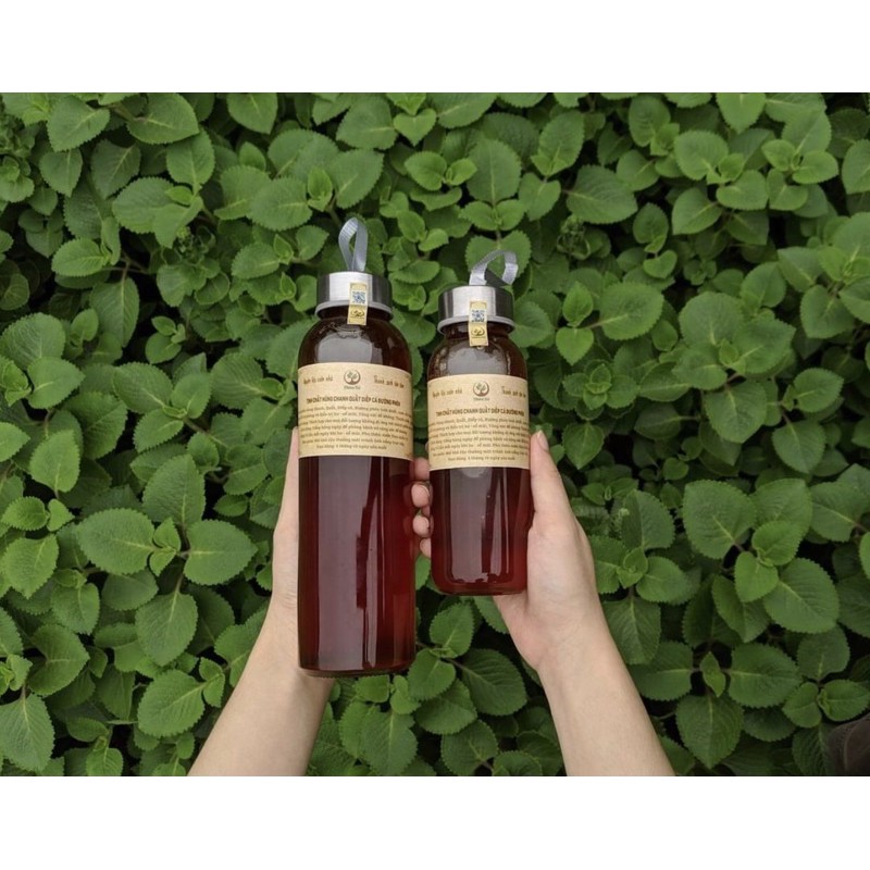 Siro húng chanh, quất, diếp cá, đường phèn 300ml (đã kiểm định)