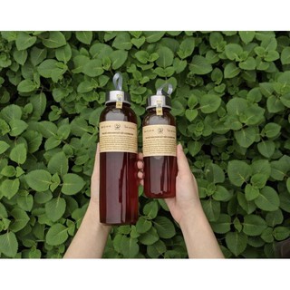 [CHẦM CHẬM SỐNG] Siro húng chanh, quất, diếp cá, đường phèn 300ml (đã kiểm định)