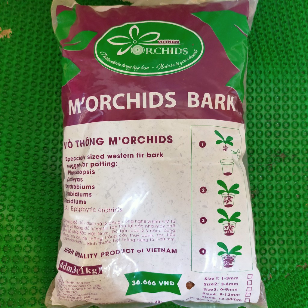 vỏ thông xử lý cao cấp morchids bark các kích thước (gói 1kg)