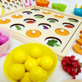Đồ chơi trí tuệ gắp hạt cho bé