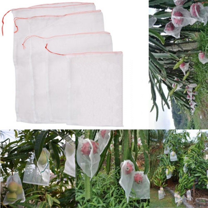 Bộ 50 túi lưới bọc trái cây cho vườn nhà