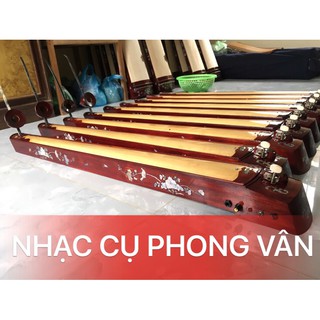 Đàn bầu điện gắn Ampli mobin