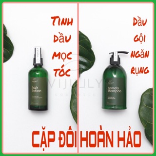 [TRỊ RỤNG TÓC] Bộ Dầu Gội Bưởi & Tinh Dầu Bưởi ViJully ngăn ngừa rụng tóc