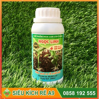 Combo chăm sóc lan toàn diện - Ngọc Linh