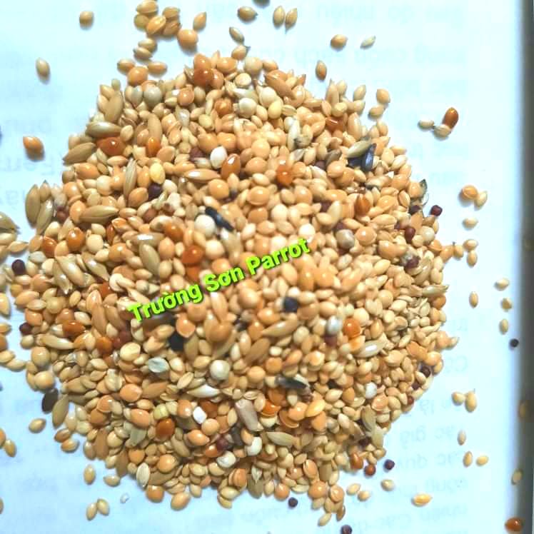 0,5/1kg hạt trộn cho finch, chim manh manh, bảy màu ....của Mannitoba