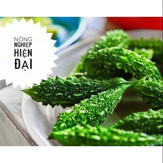Hạt giống khổ qua rừng 10H