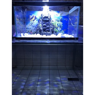 Combo hồ cá dài 40cm rộng 24 cao 24 cm có lọc thác có đèn led có máy oxy có thác cát có đá trắng có tranh dán có cây
