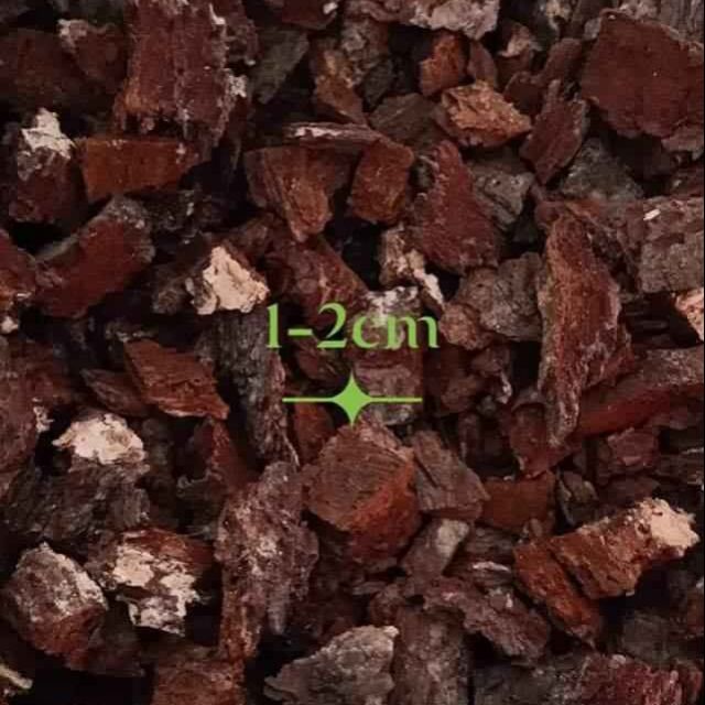 1 kg vỏ thông băm 1-2cm
