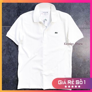 Áo Polo Nam Cá Sấu VNXK Đẹp, Hình Thật Full Tem Tag