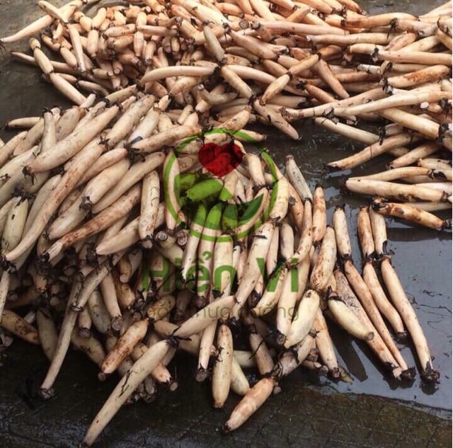 TRÀ CỦ SEN gói 200gr | BigBuy360 - bigbuy360.vn