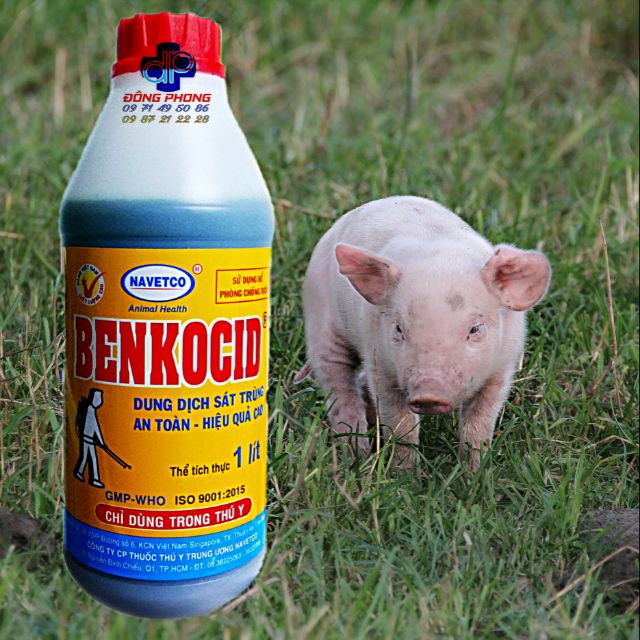 Dung dịch sát trùng Benkocid
