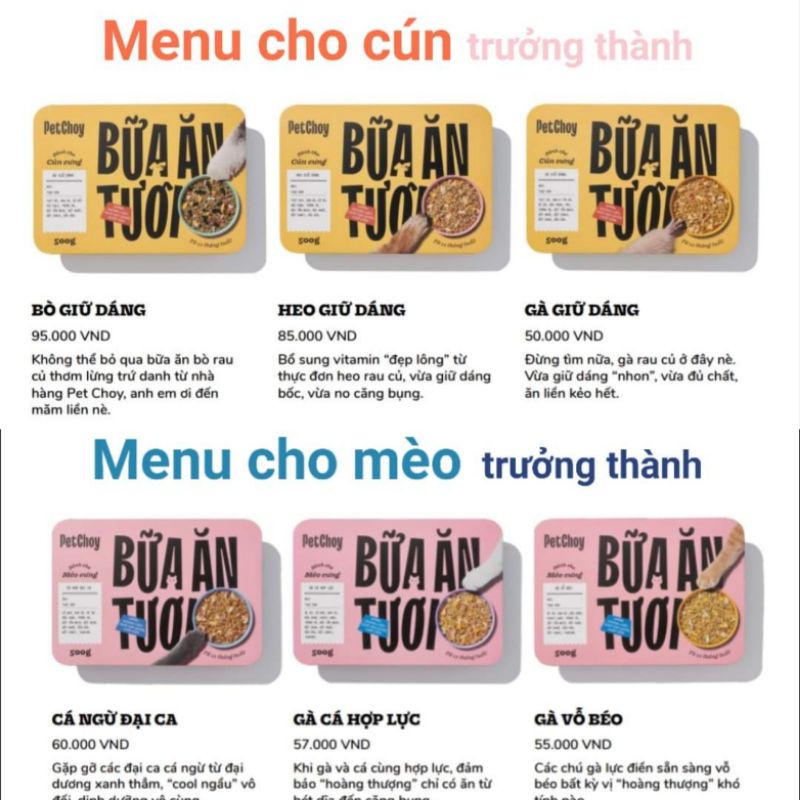 [Q10] PET CHOY PATE TƯƠI PETCHOY CHO CHÓ 500GR