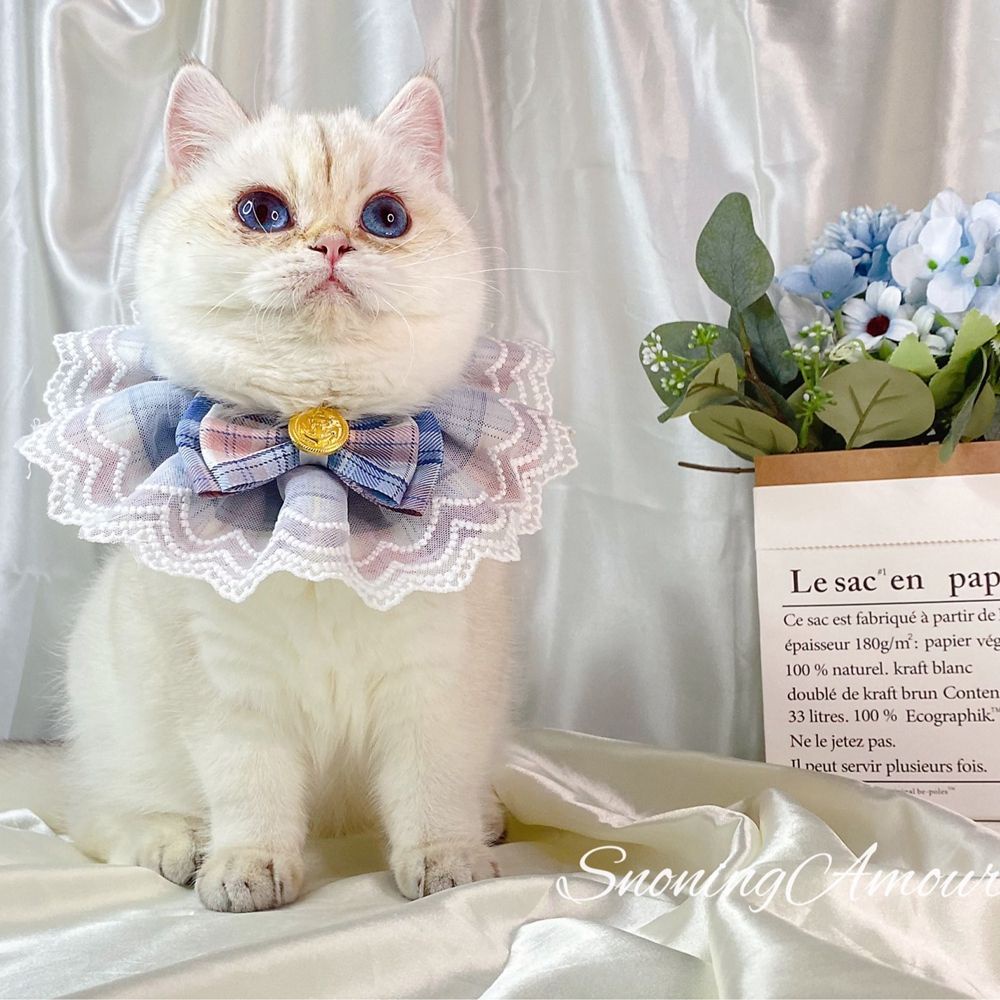 Yếm đeo cổ đính nơ họa tiết kẻ sọc ca rô phối ren cotton đáng yêu dành cho thú cưng