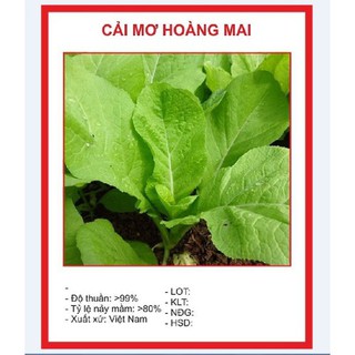 Hạt Giống Rau Cải Mơ Lùn 20gr