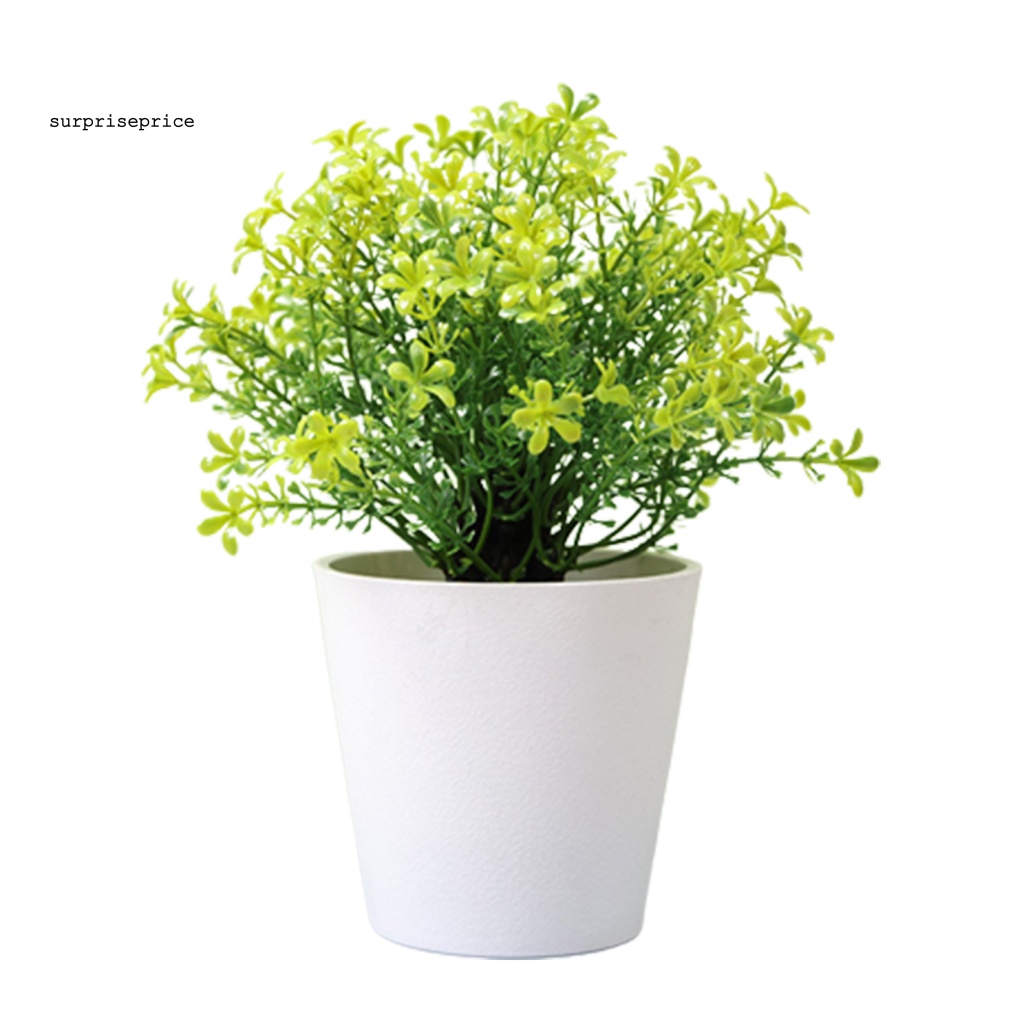 Chậu Cây Bonsai Giả Trang Trí Nhà Cửa