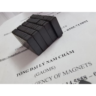 Nam châm Ferrite 30x10x5mm