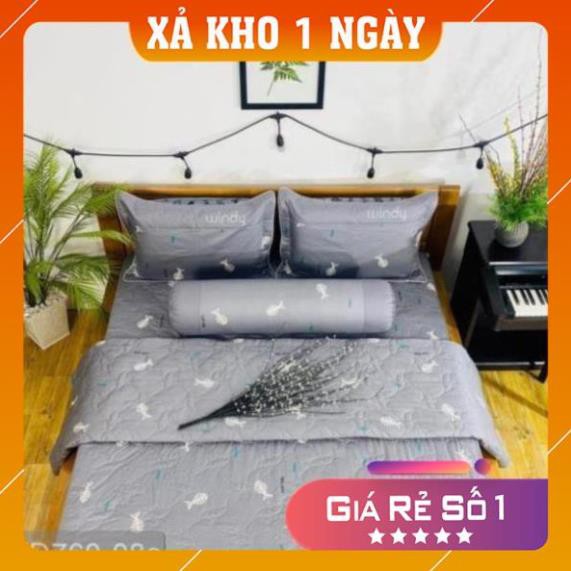 Bộ chăn ga gối cao cấp Windy