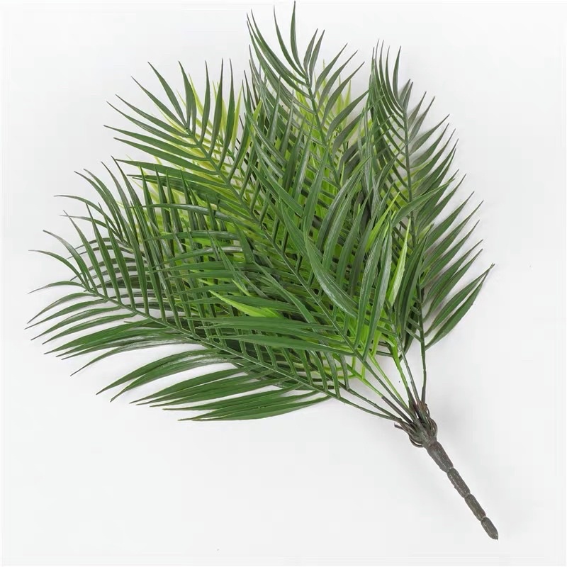 Cây dừa giả-Bụi cây dừa cao 50CM