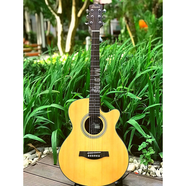 Guitar Acoustic Diana D815NM - Gỗ Bách Tùng Nguyên Tấm -Sol.G