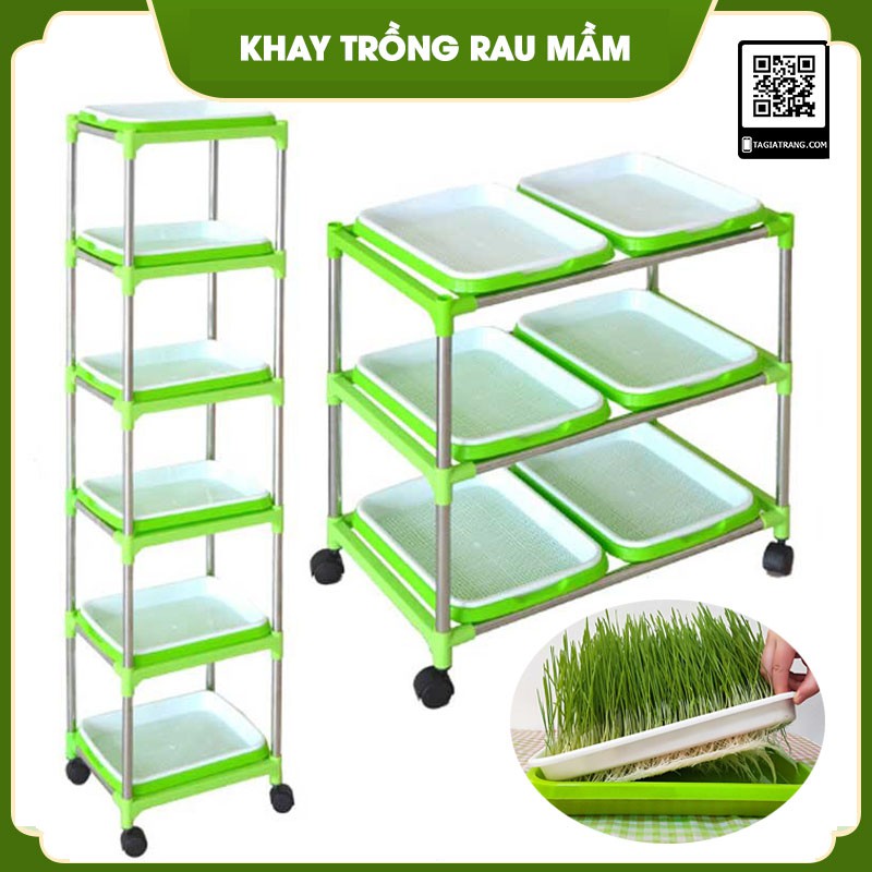 Bộ giá kệ khay trồng rau mầm thủy canh chuyên dụng 3 tầng 6 khay