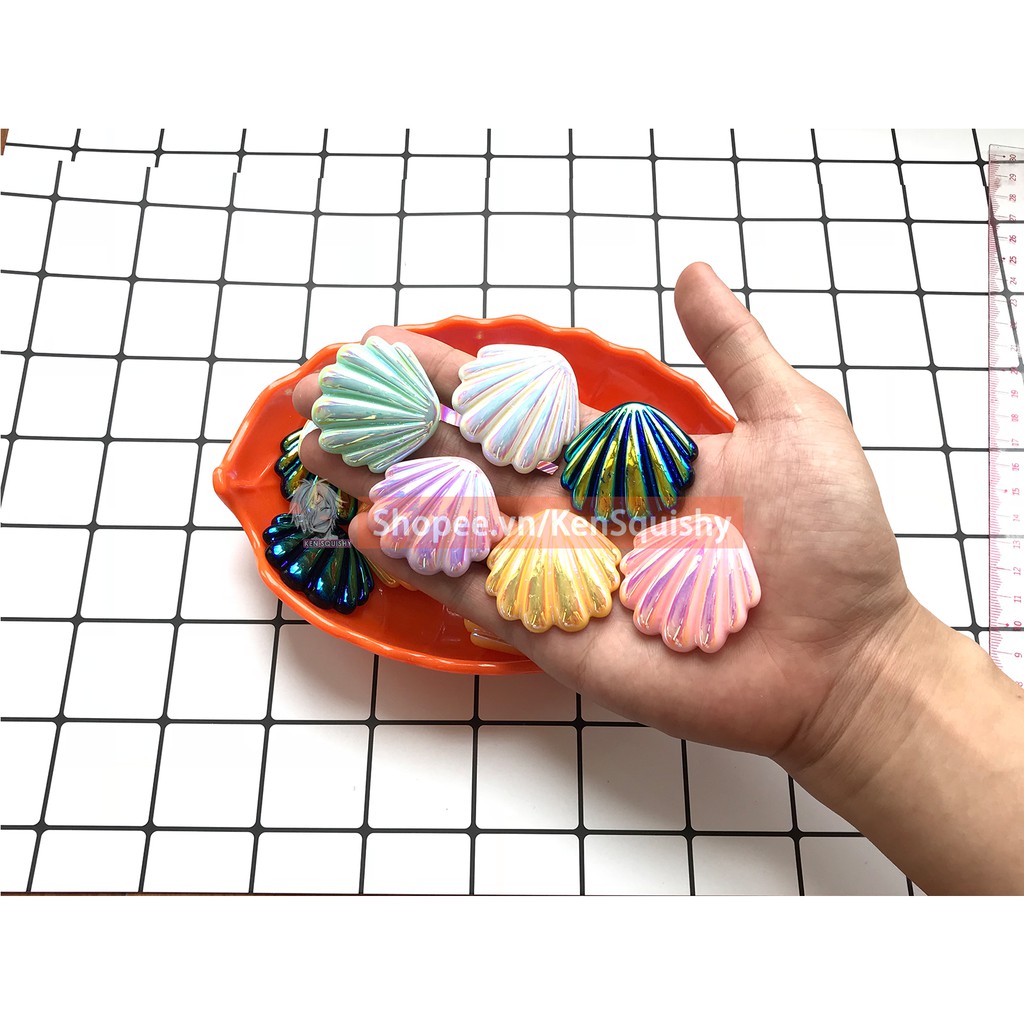 Mô Hình Vỏ Sò Lớn Ngẫu Nhiên Nguyên Liệu Trang Trí Slime