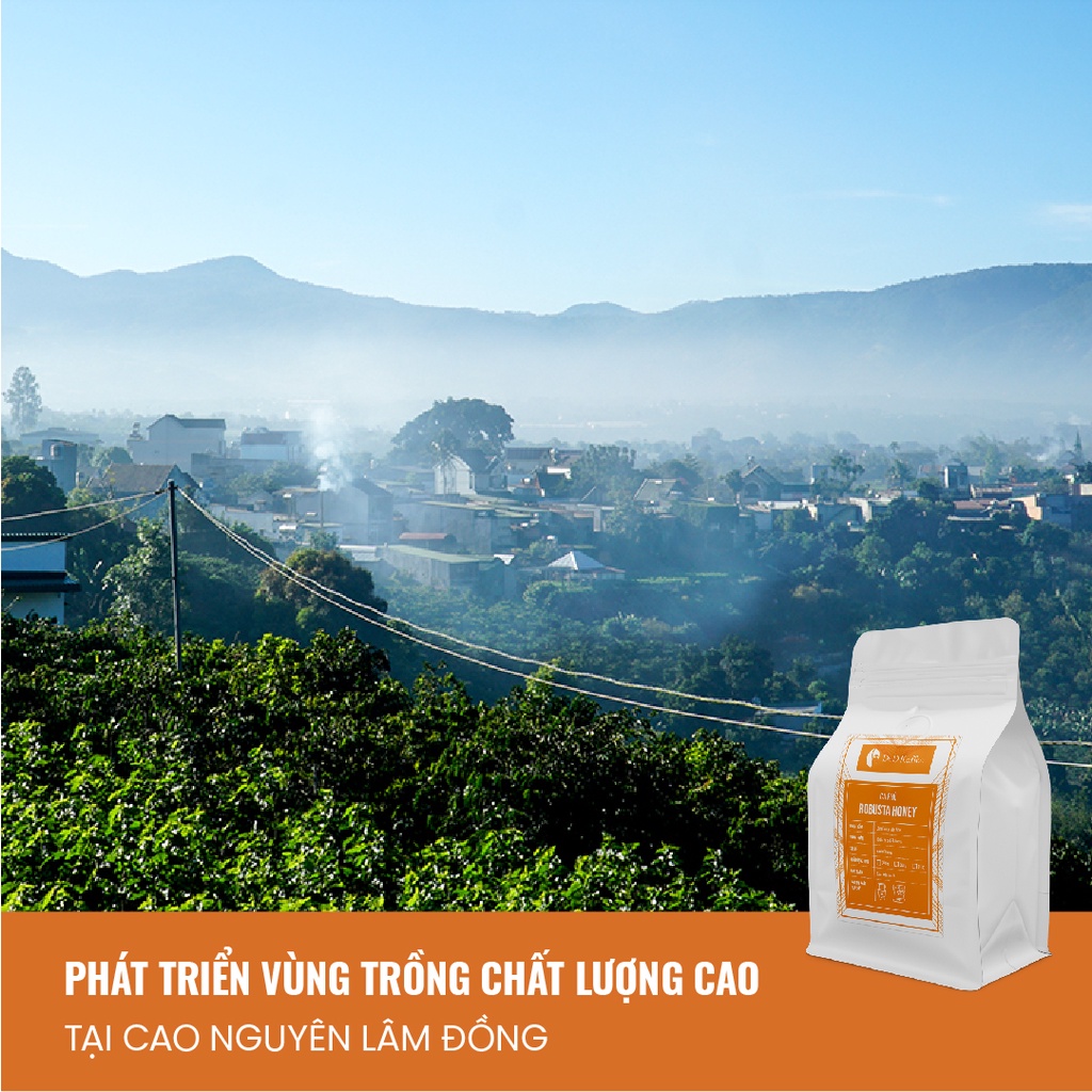 Cà phê Robusta Honey Gói 250gr/500gr, Cà phê nguyên chất 100% rang mộc - D&amp;D Kaffee