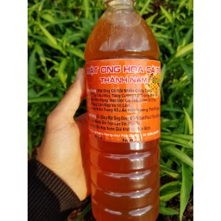 Mật ong hoa cà phê Thành Nam 1l
