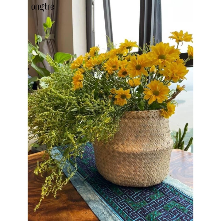 Giỏ cói trồng cây ONGTRE /đựng quần áo/decor tự nhiên có quai/giỏ cói đựng đồ nhiều kích thước [Bán buôn/sỉ]