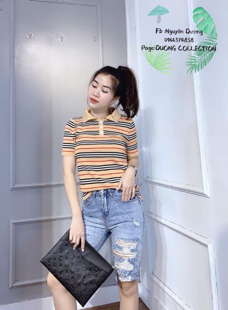 Áo len montoghi kẻ cổ bẻ hàng Quảng Châu - Áo cổ bẻ kẻ hót