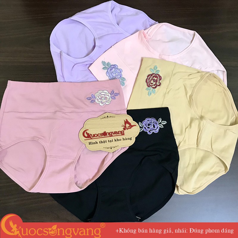 Quần lót nữ lưng cao cotton co giãn quần lót nịt bụng chống cuộn GLDL044 Cuocsongvang
