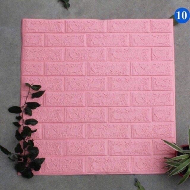 Combo xốp dán tường