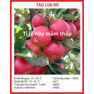 Hạt giống cây táo lùn đỏ 5 hạt