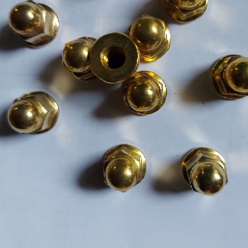 Ốc bắt cổ pô dream wase 6ly. oczin_store