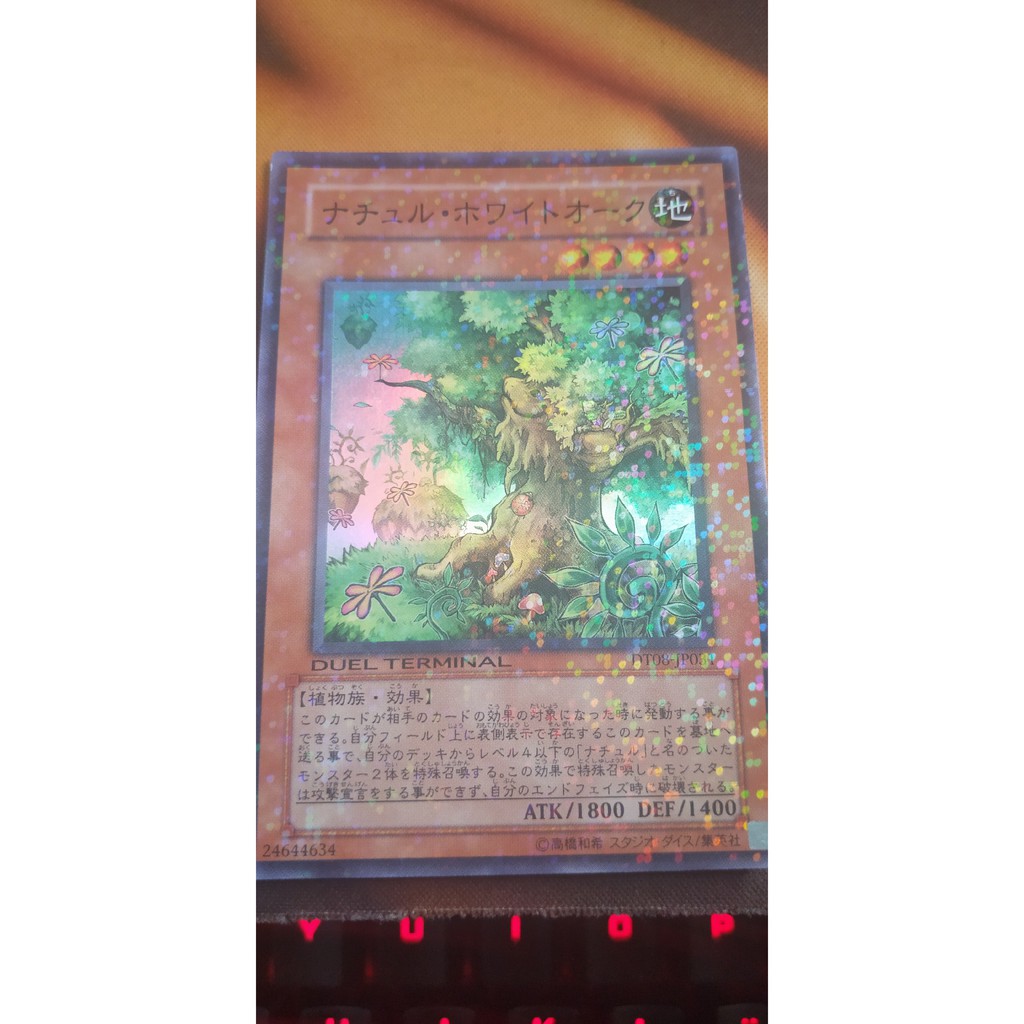[Thẻ bài Yugioh OCG] DT08-JP031 Naturia White Oak - DT Super Rare